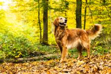 Lucia LOPS - LULU PHOTOGRAPHY