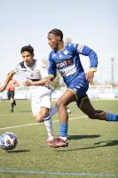 Albert LICTEVOUT - Albert Lictevout