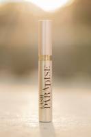 David LY - DAILY CORPO