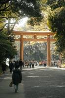 Adrien MOTTE - Adrien MOTTE