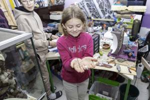 Adrien MOTTE - Adrien MOTTE